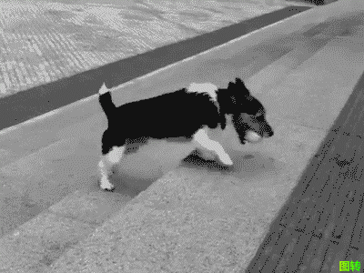 topito-ce-que-les-freelances-ne-disent-pas-seul-solitude-esprit-freelance-blog