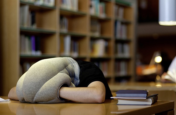 oreiller-pour-dormir-n-importe-ou-idees-cadeaux-auto-entrepreneur-freelance-traducteur-redacteur-esprit-freelance