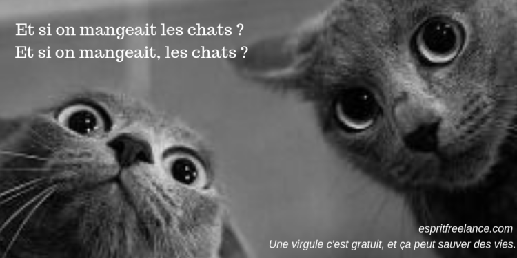 humour-virgule-correction-chats-espritfreelance