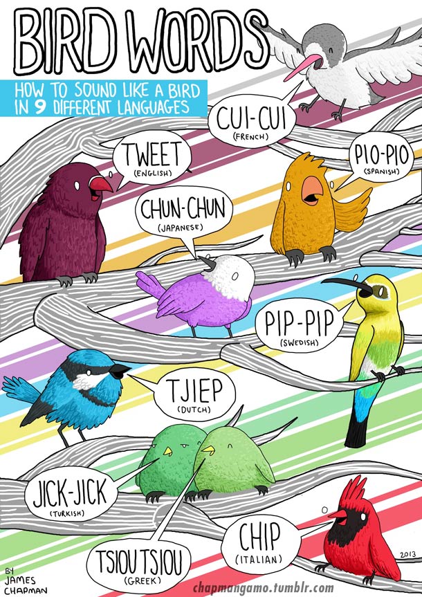 oiseau-cuicui-bruit-plusieurs-langues-esprit-freelance